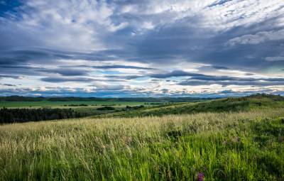 Call of the Land - Enhancements to the Environmental Farm Plan process