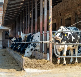 Managing a Well Closer Than Minimum Distance From a Livestock Yard
