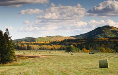 Refreshing how Alberta farmers manage environmental risk