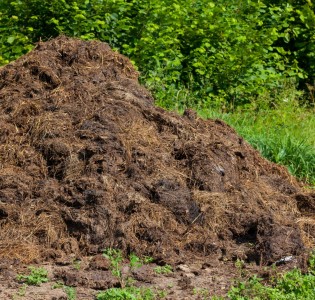 Short-Term Manure Storage