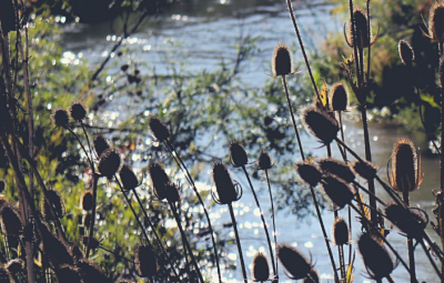 Understanding Habitat Management Together