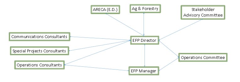 EFP Org Chart
